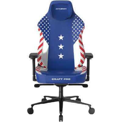 Игровое кресло DX Racer Craft Pro CRA-PR009-BW-H1