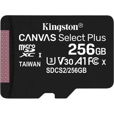 Карта памяти Kingston Canvas Select Plus SDCS2/256GBSP, 256 ГБ