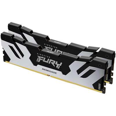 Оперативная память Kingston FURY Renegade Silver/Black XMP, DDR5 32GB (2x16GB)/6000 MHz DIMM (KF560C32RSK2-32)