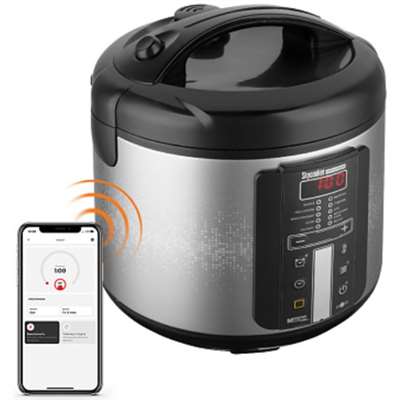 Мультиварка REDMOND SkyCooker M226S