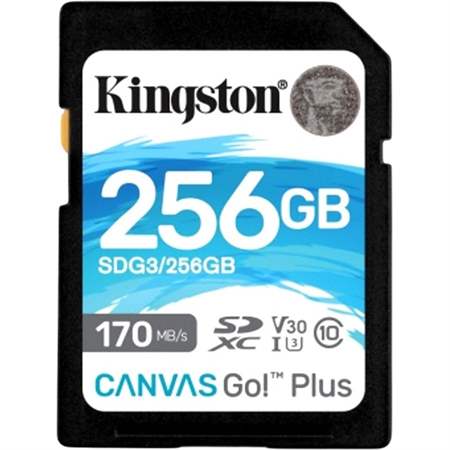 Карта памяти Kingston Canvas Go! Plus SDG3/256GB, 256 ГБ