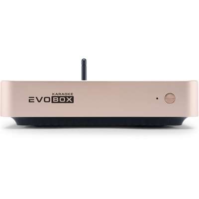 Караоке-система EVOBOX Plus (Gold)