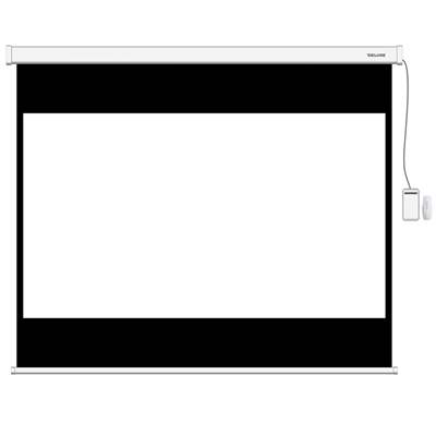 Экран моторизированный Deluxe DLS-ERC274х206W, Ø 131″, 4:3