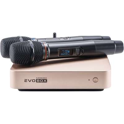 Караоке-система EVOBOX Plus с микрофонами SE 201D (Gold)