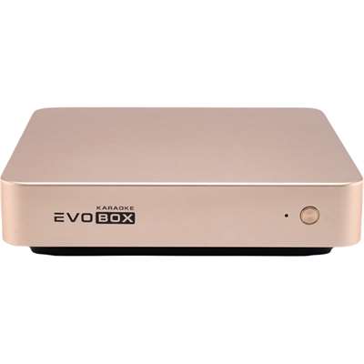 Караоке-система EVOBOX (Gold)