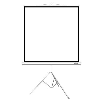 Экран на треноге Deluxe DLS-T180xW, Ø 96″, 1:1